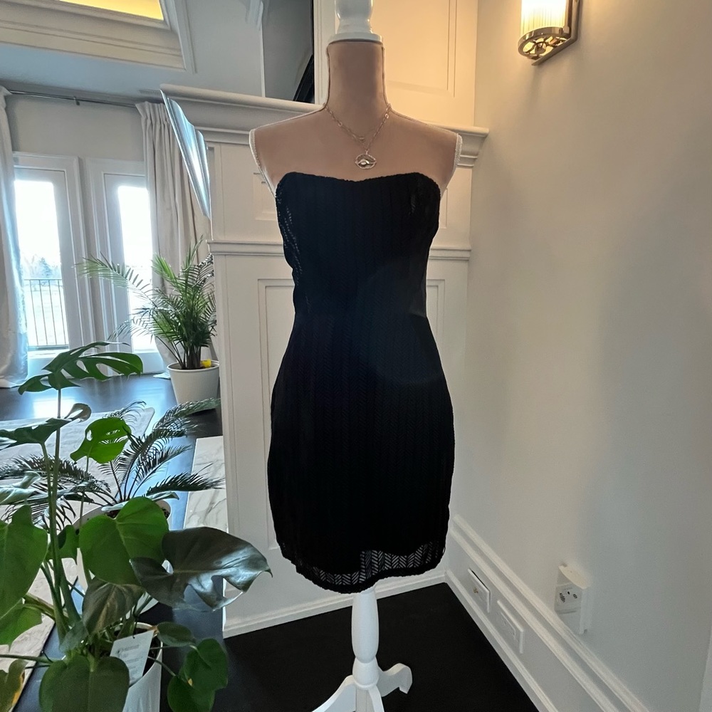 Kimberly Taylor Silk/Velvet Dress